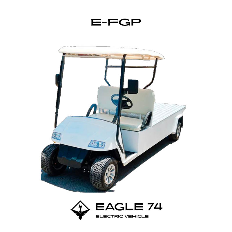 E-FGP